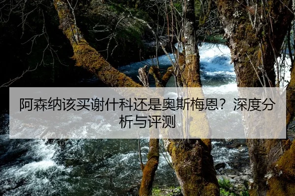 阿森纳该买谢什科还是奥斯梅恩？深度分析与评测