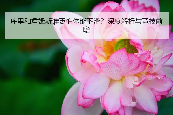 库里和詹姆斯谁更怕体能下滑？深度解析与竞技前瞻